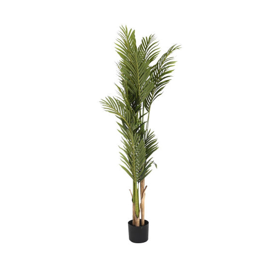 Planta Palmeira 170cm