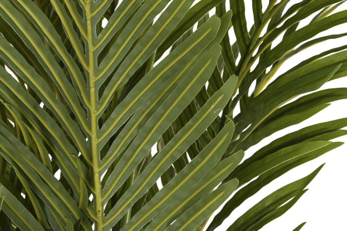 Planta Palmeira 170cm