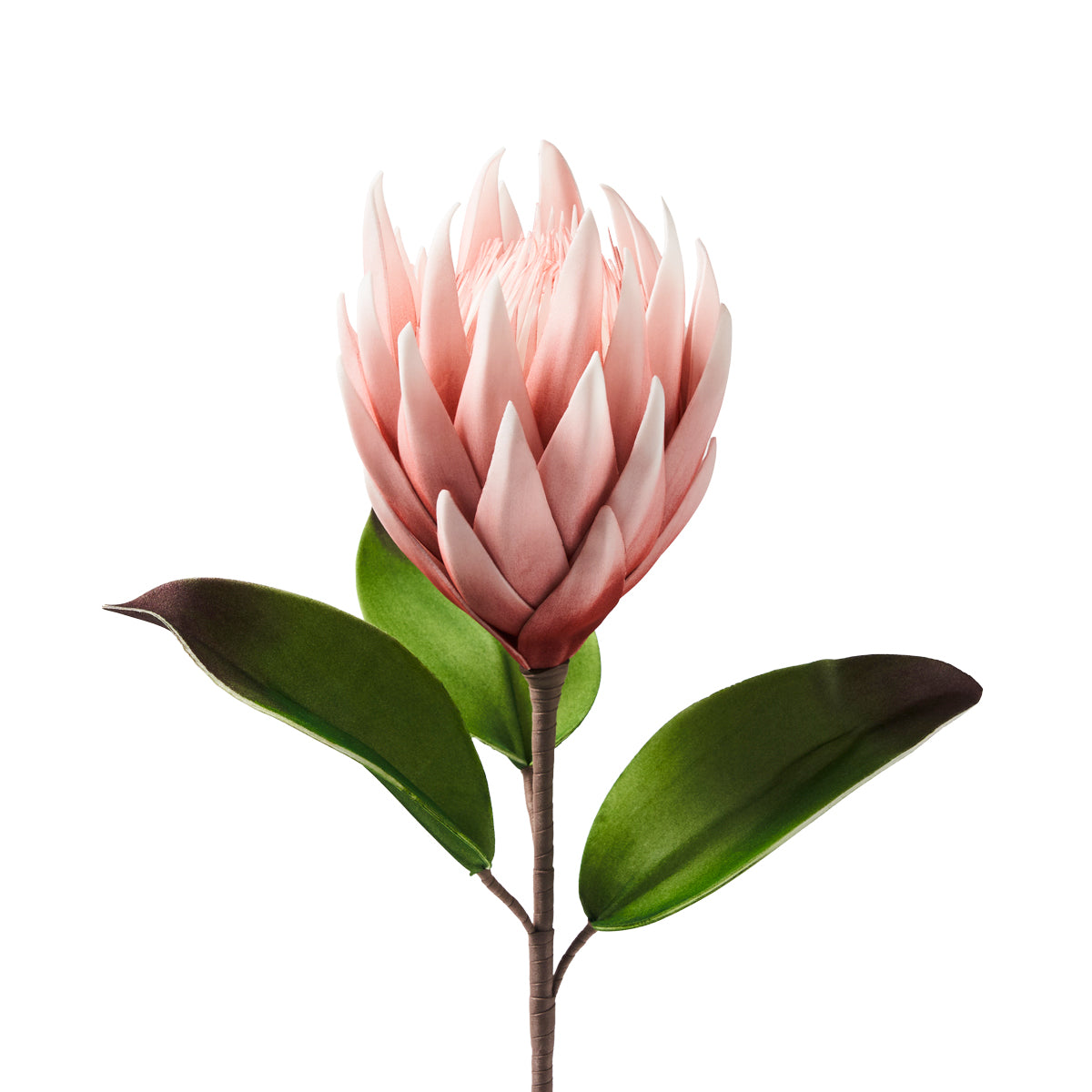Protea Rosa Artificial 66cm