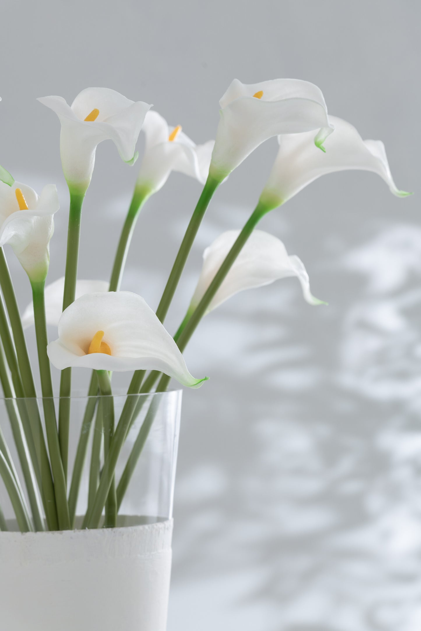 Bouquet de Jarros brancos