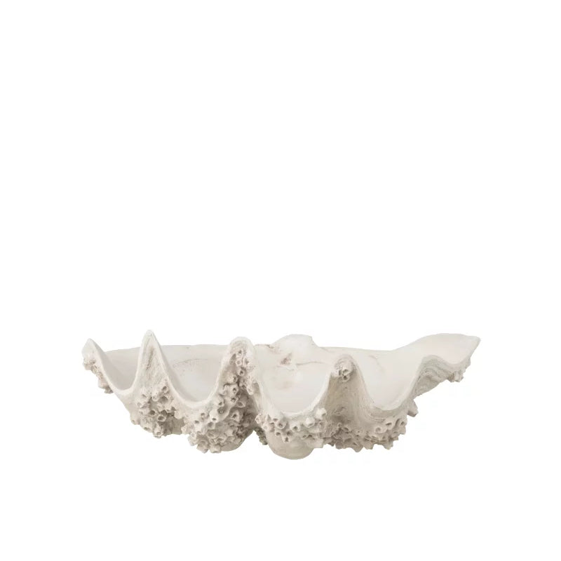 Centro de mesa Seashell em branco