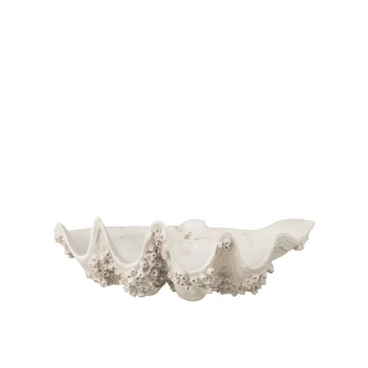 Centro de mesa Seashell em branco