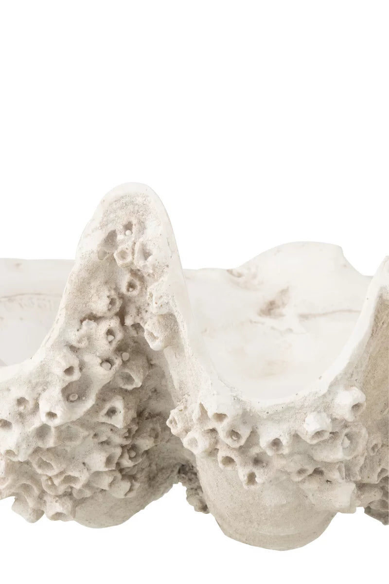 Centro de mesa Seashell em branco