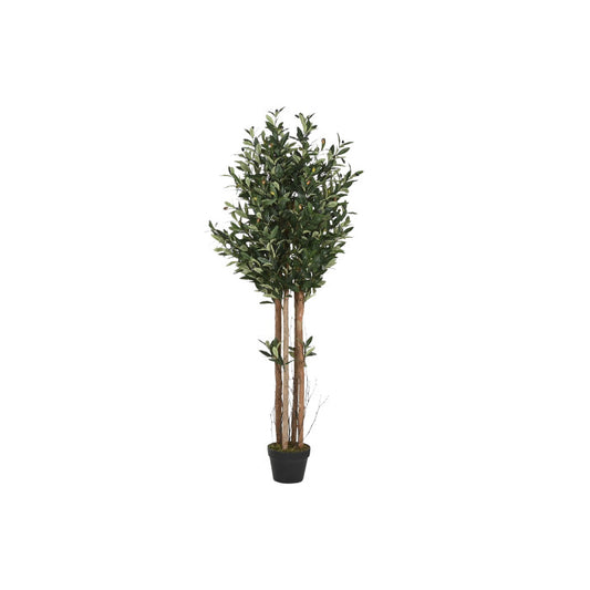 Planta Oliveira 150cm