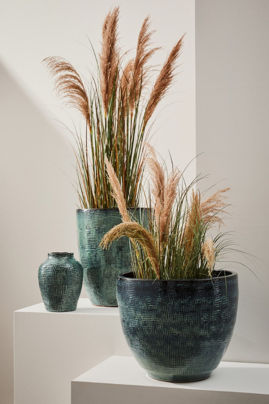 Planta Pampas Austorderia 90cm