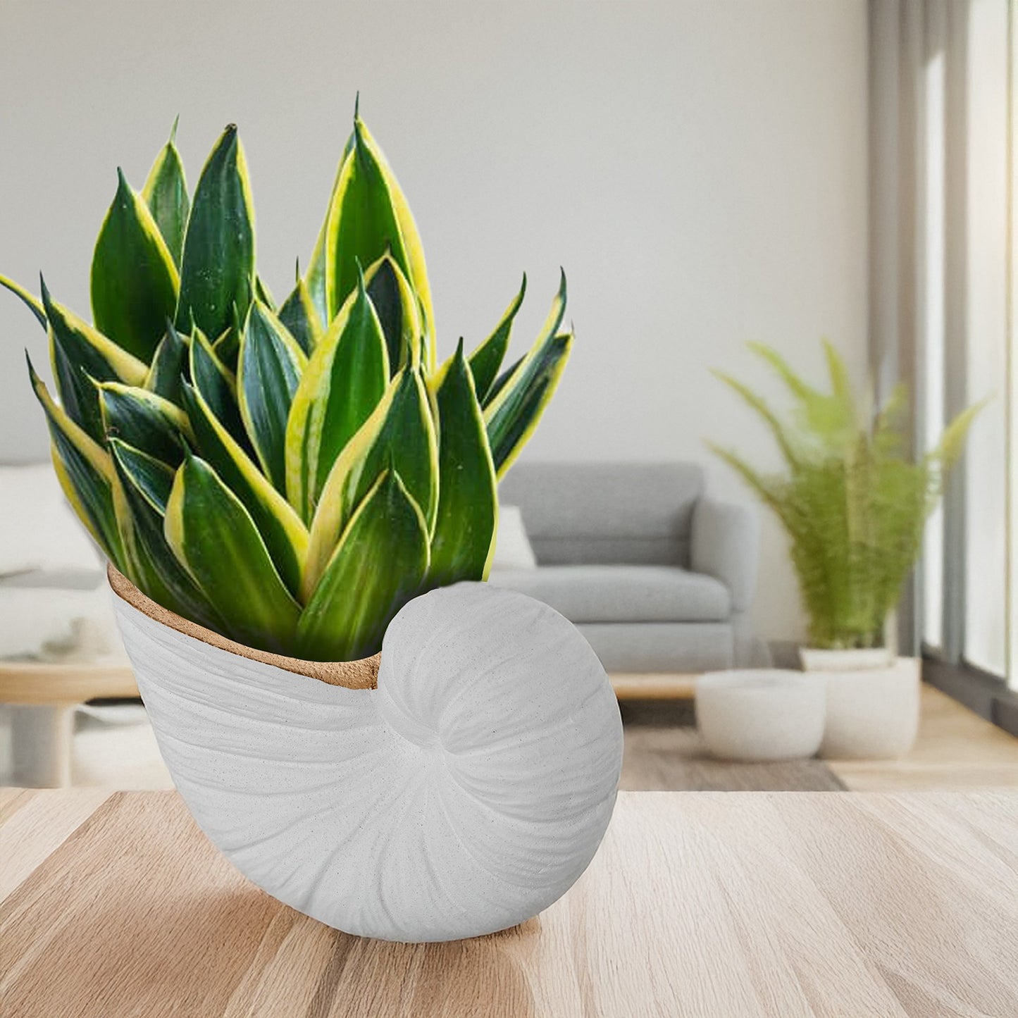 Jarra Caracol dourado e branco