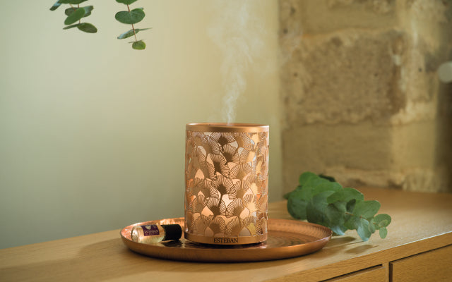 Difusor Elétrico de Aromas Edição Cobre & Lumiére