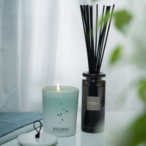 Recarga difusor mikado Pur Lin 500 ml