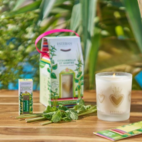 Edição Limitada - Vela Perfumada Recarregável Lemongrass and Mint 180g