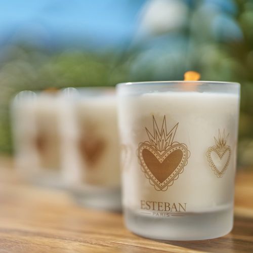 Edição Limitada - Vela Perfumada Recarregável Lemongrass and Mint 180g