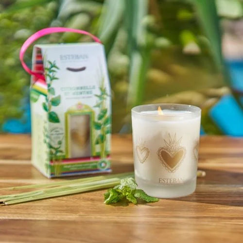 Edição Limitada - Vela Perfumada Recarregável Lemongrass and Mint 180g