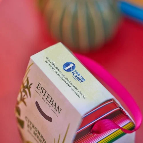 Edição Limitada - Vela Perfumada Recarregável Lemongrass and Mint 180g