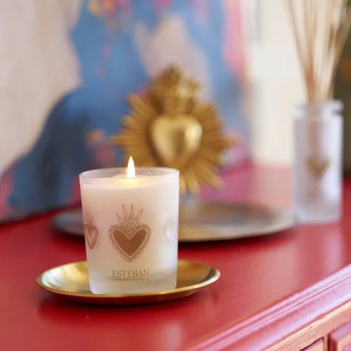 Edição Limitada - Vela Perfumada Recarregável Lemongrass and Mint 180g