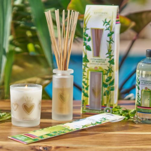 Edição Limitada - Difusor Mikado Ellipse Lemongrass and Mint 100ml