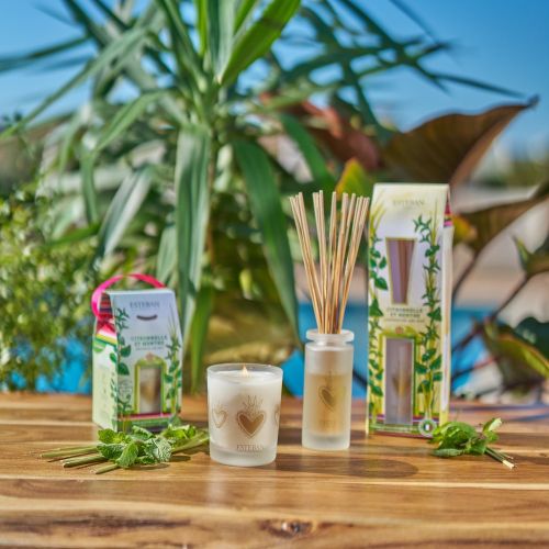Edição Limitada - Difusor Mikado Ellipse Lemongrass and Mint 100ml