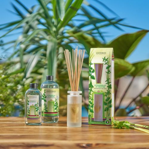Edição Limitada - Difusor Mikado Ellipse Lemongrass and Mint 100ml